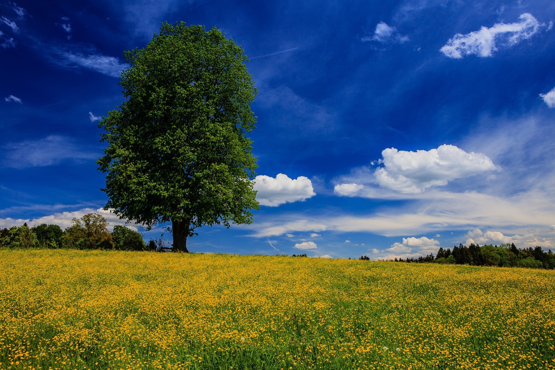 felder wiesen und täler natur landschaft landschaft landschaft sommer himmel sonne gras baum im freien gutes wetter feld hell idylle heuhaufen blume landwirtschaft dämmerung