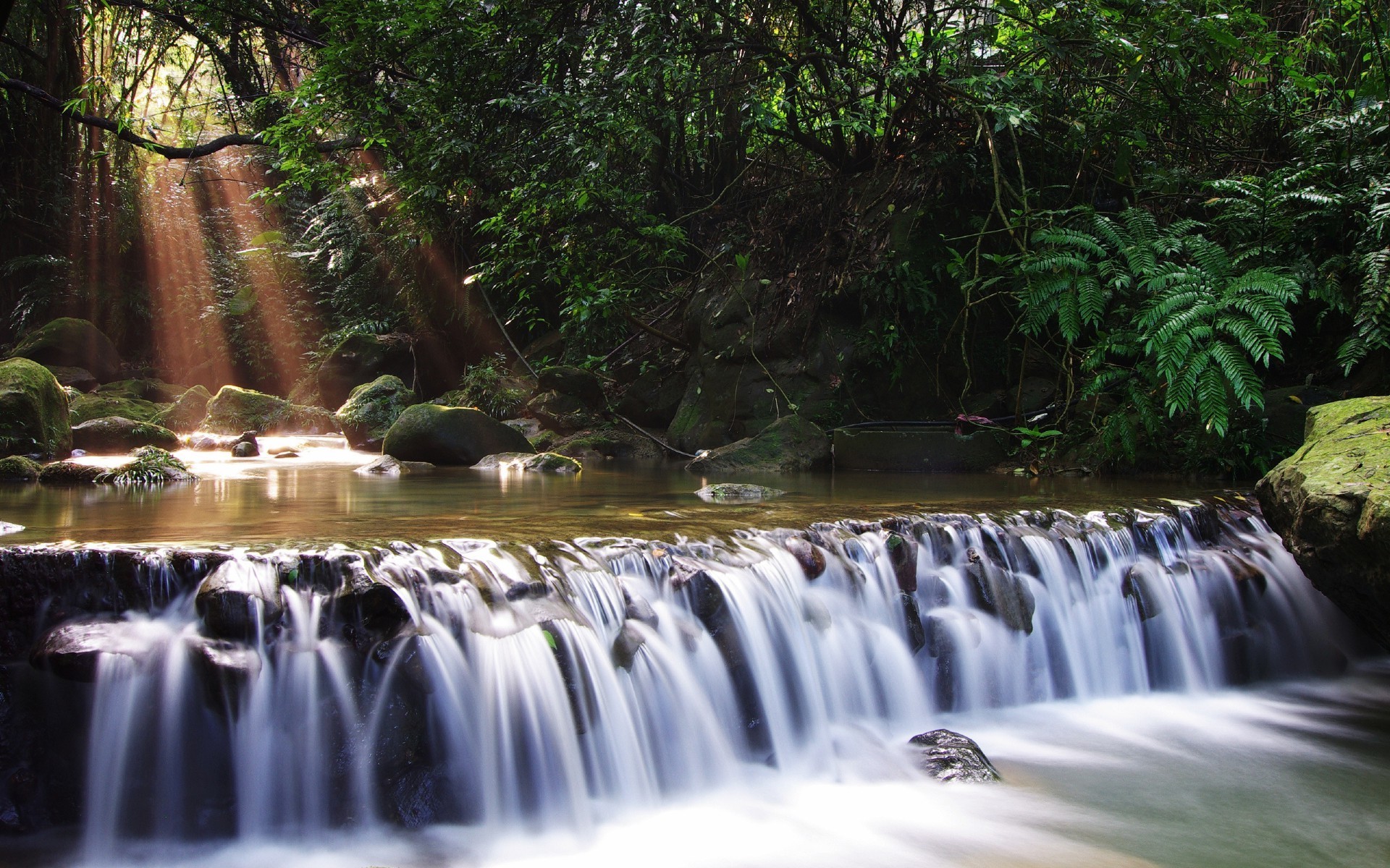 cascadas cascada agua naturaleza río tráfico corriente cascada madera al aire libre otoño desenfoque hoja corriente pureza roca viajes mojado salpicaduras musgo