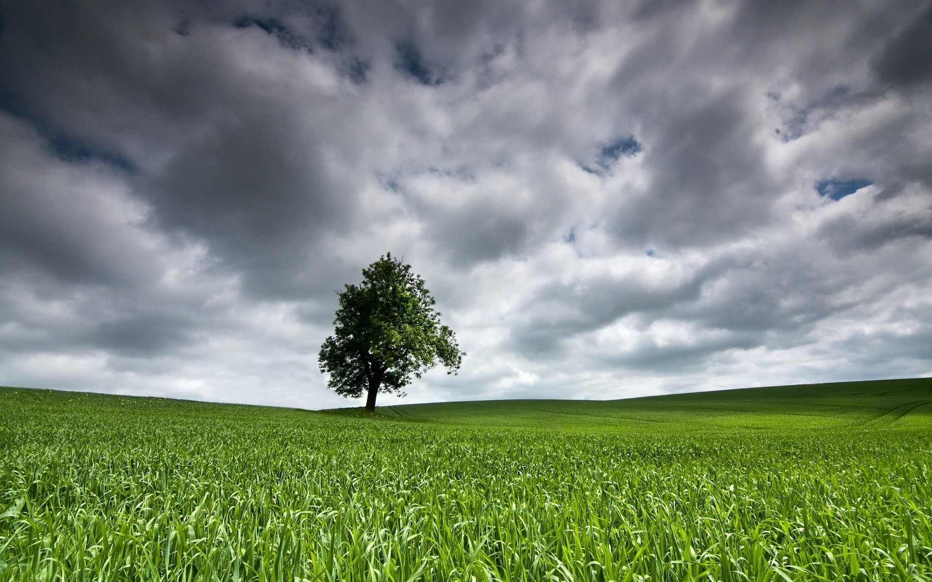 felder wiesen und täler feld des ländlichen weide landschaft gras bauernhof natur sonne heuhaufen gutes wetter landschaft wachstum landwirtschaft himmel boden idylle wolke sommer