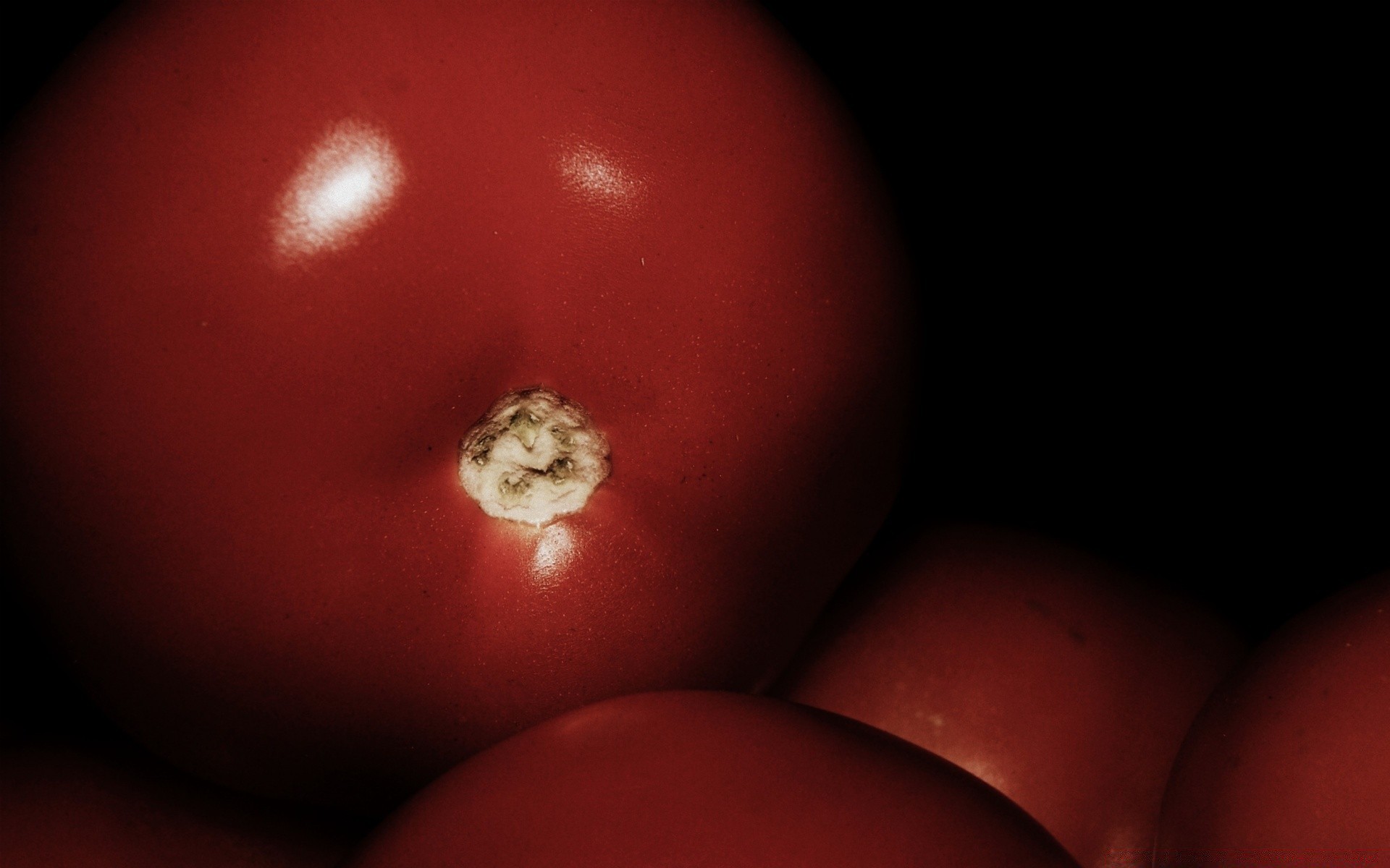 macro food grow fruit one vegetable still life