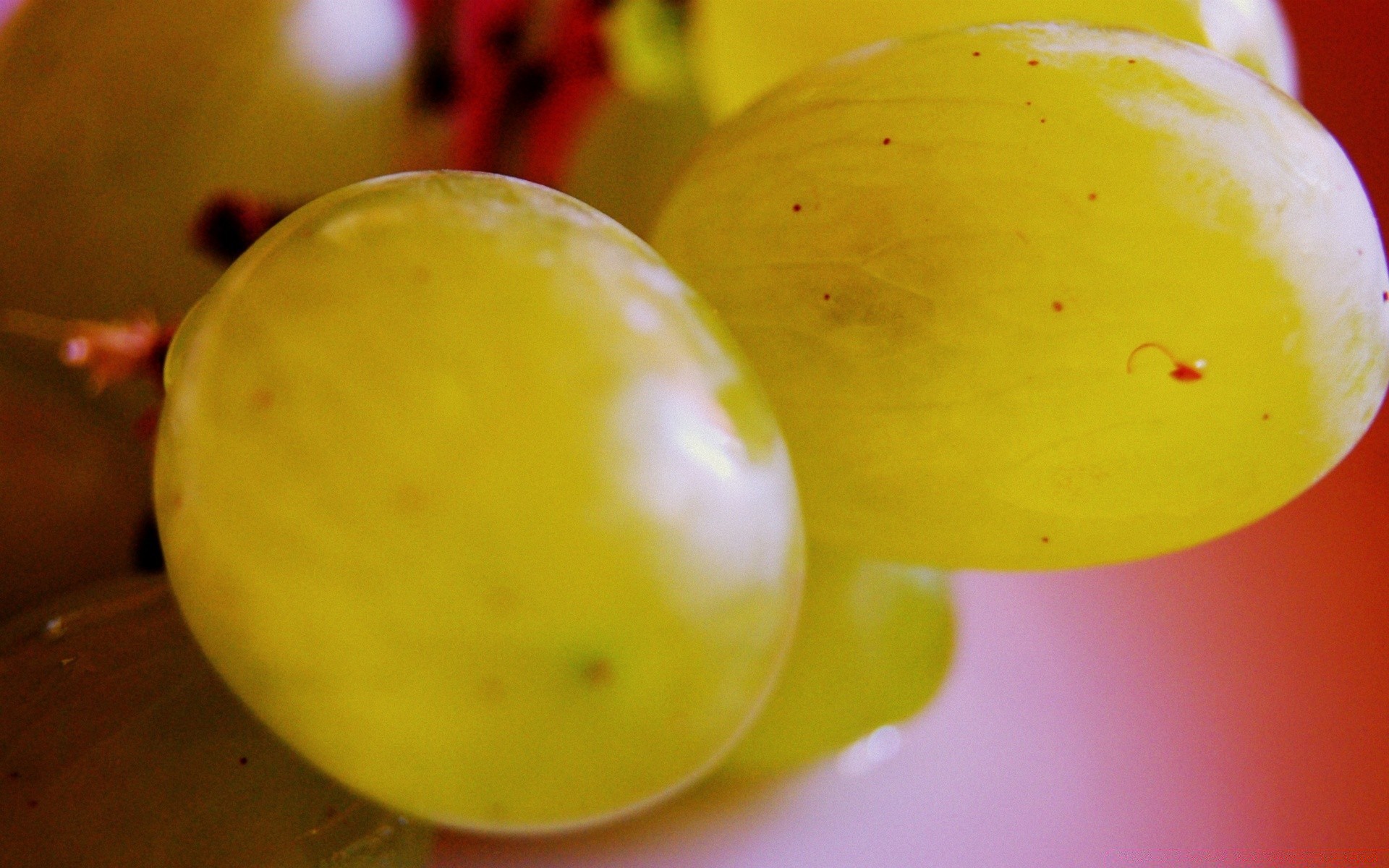 macro fruta comida otoño jugosa hoja manzana crecer salud color nutrición naturaleza muerta naturaleza dulce delicioso jugo agricultura verano confitería