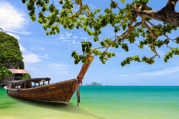 Thaïlande. Le bateau a accosté à la rive près de l arbre