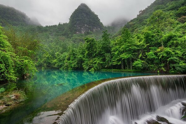 Paisaje tropical sobre la cascada