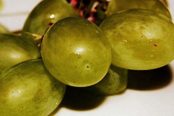 Zielone winogrona na stole uchwycone za pomocą makrofotografii