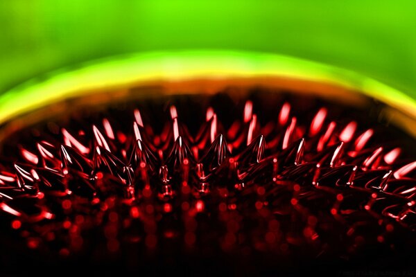 Macro photography of red spikes on a green background