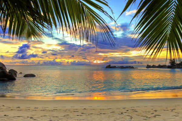 Les palmiers, la mer, le sable-c est tellement excitant