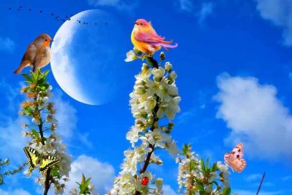 White flowers on a blue sky background