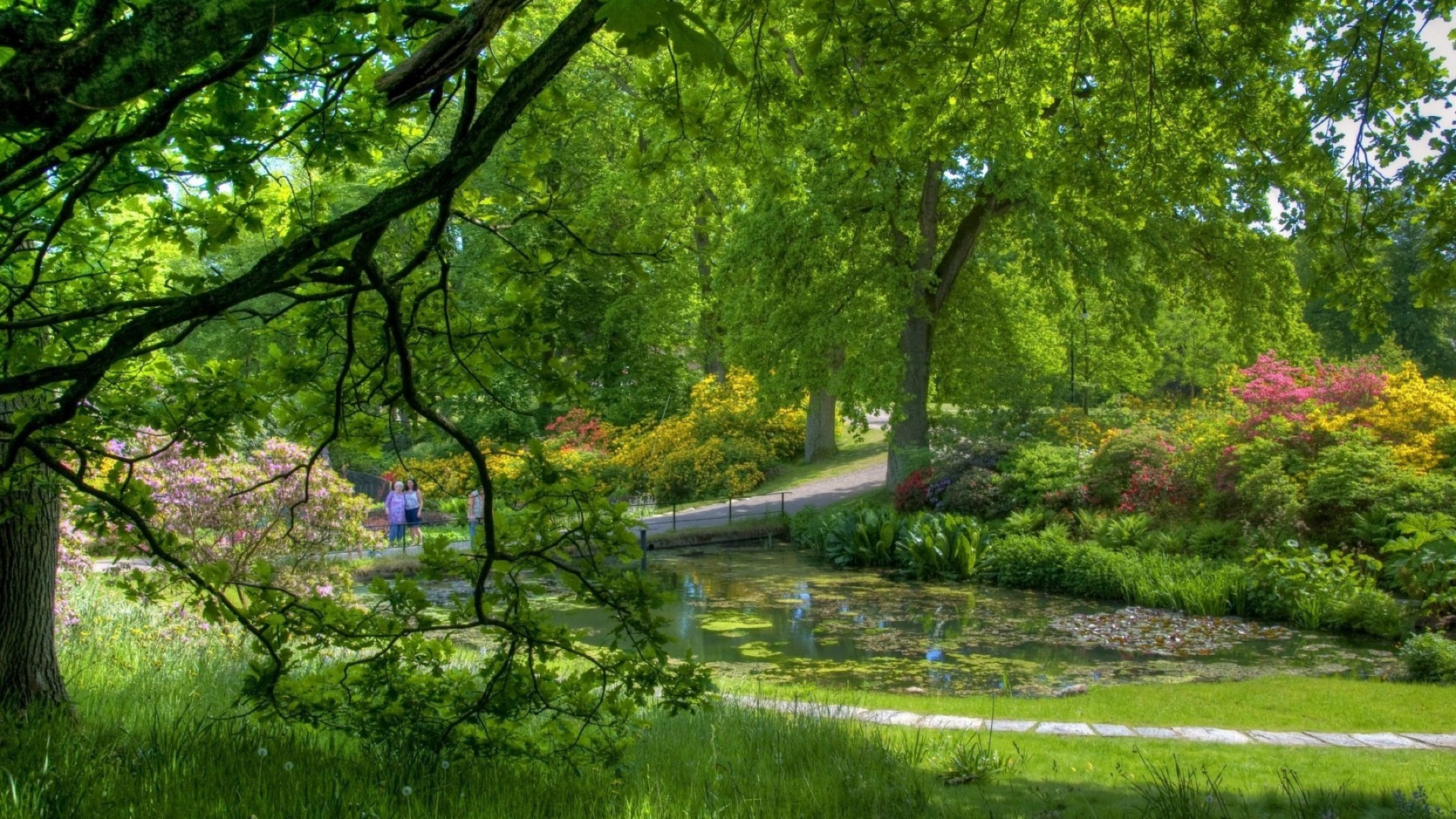 公园 树 公园 景观 叶 自然 木材 季节 环境 风景 景观 导游 秋天 植物 郁郁葱葱 花园 草 场景 夏天 好天气 明亮