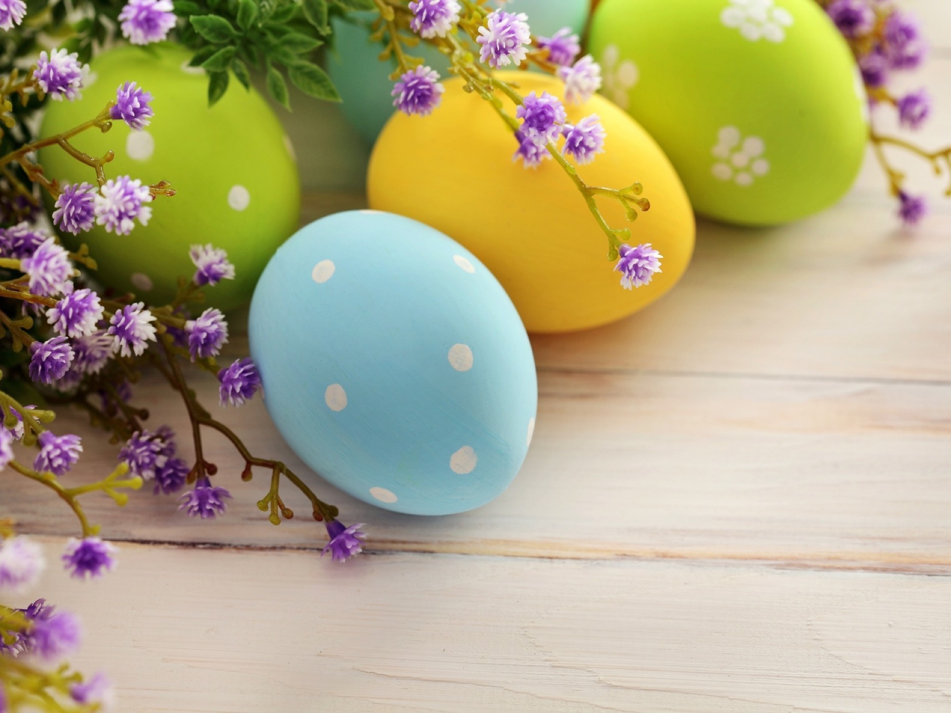 easter flower decoration egg color desktop celebration wooden traditional nature easter egg table bright