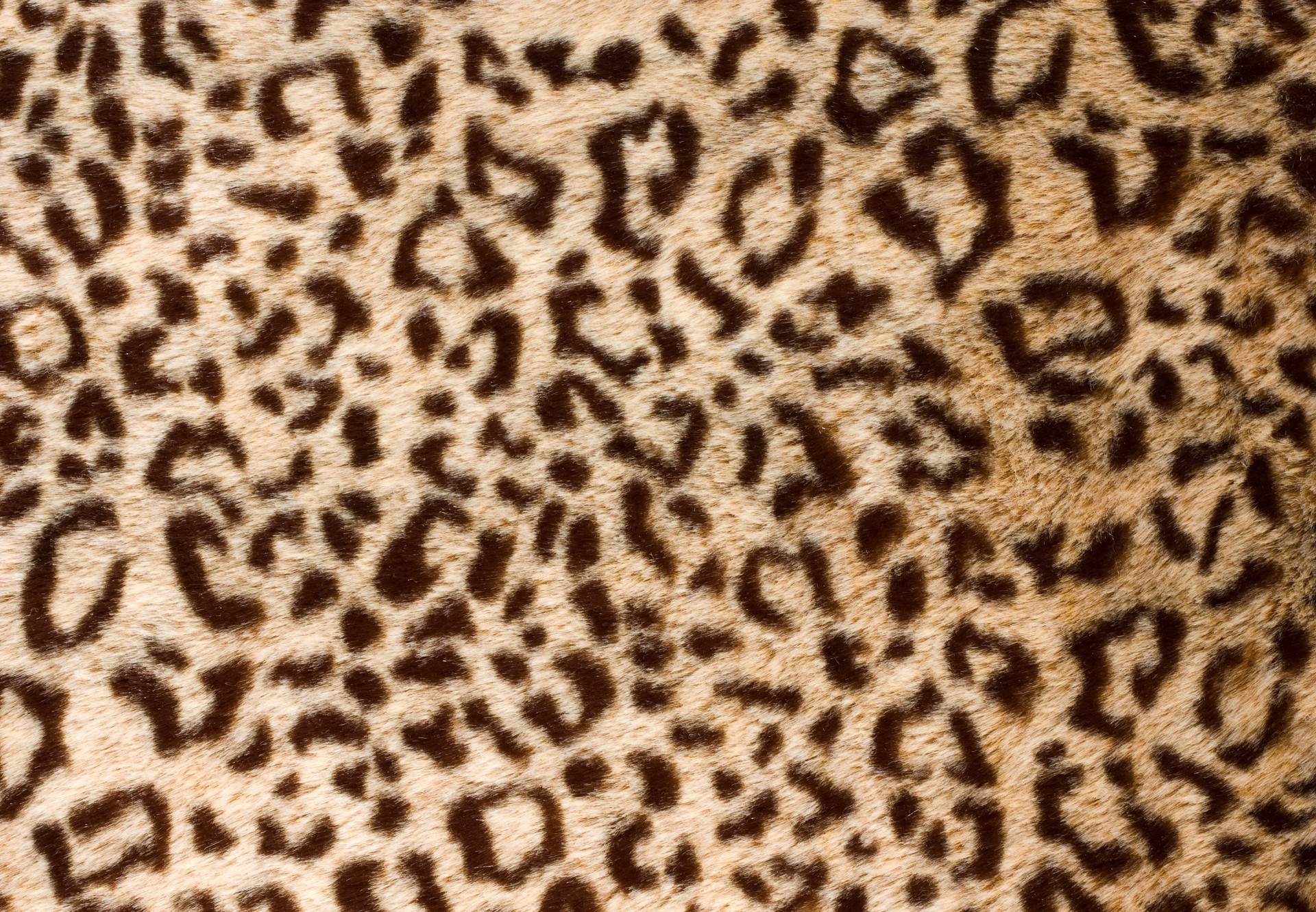 texture leopardo ghepardo camouflage modello pelliccia carta da parati astratto safari giungla senza soluzione di continuità design tessile zoo tessuto gatto stampa giraffa arte sfondo