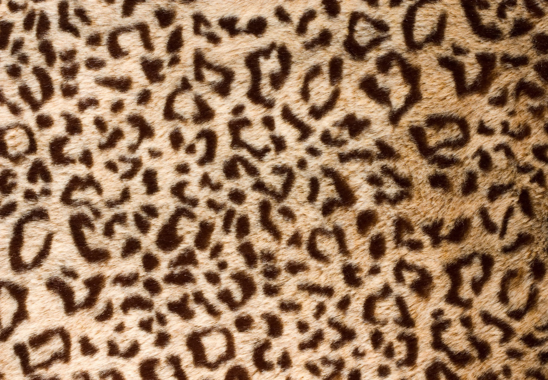 texture leopard cheetah camouflage pattern fur wallpaper abstract safari jungle seamless design textile zoo fabric cat print giraffe art background