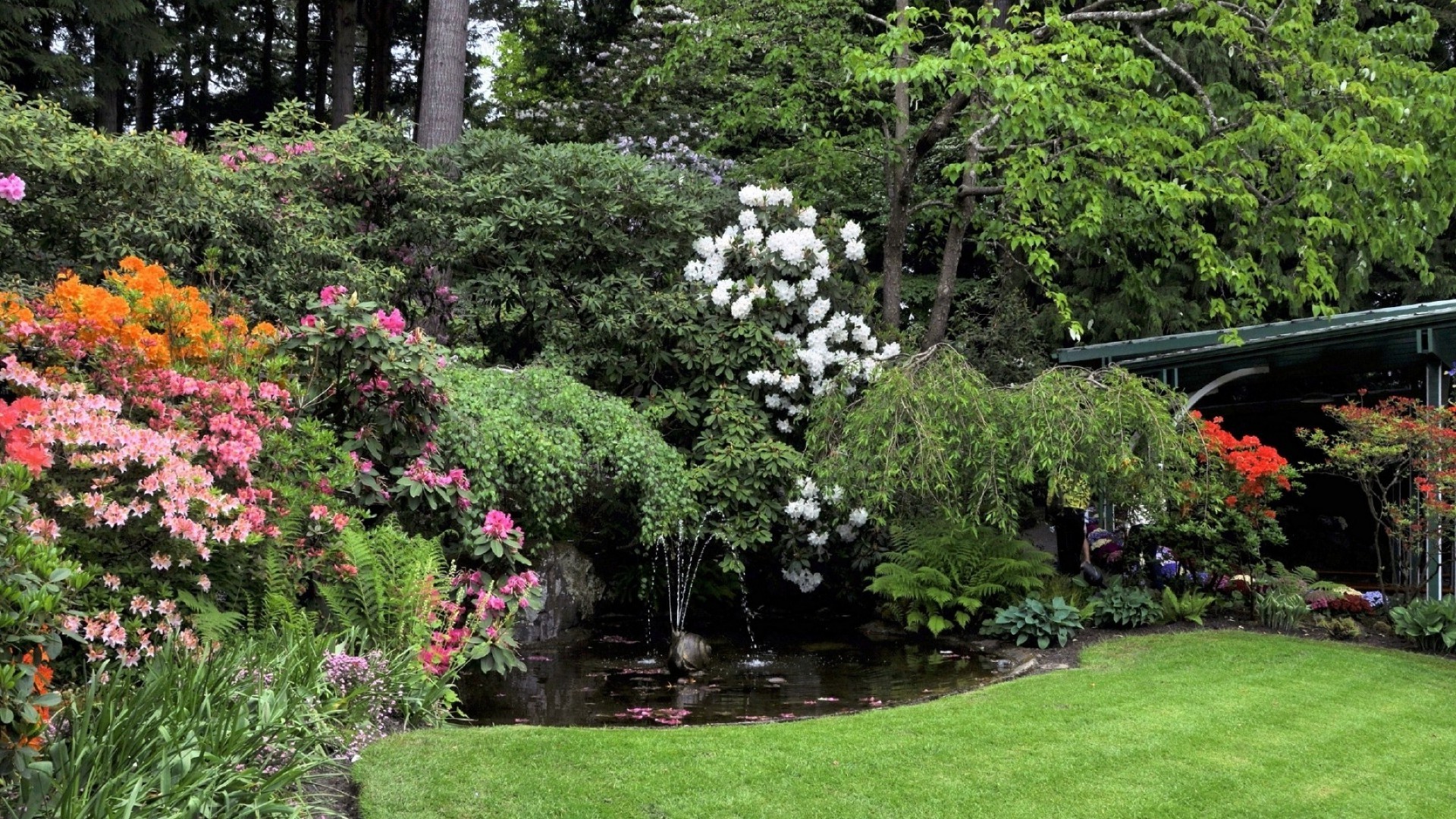 jardins flor jardim árvore parque flora paisagem folha natureza arbusto verão gramado ao ar livre botânico rododendro grama exuberante madeira quintal