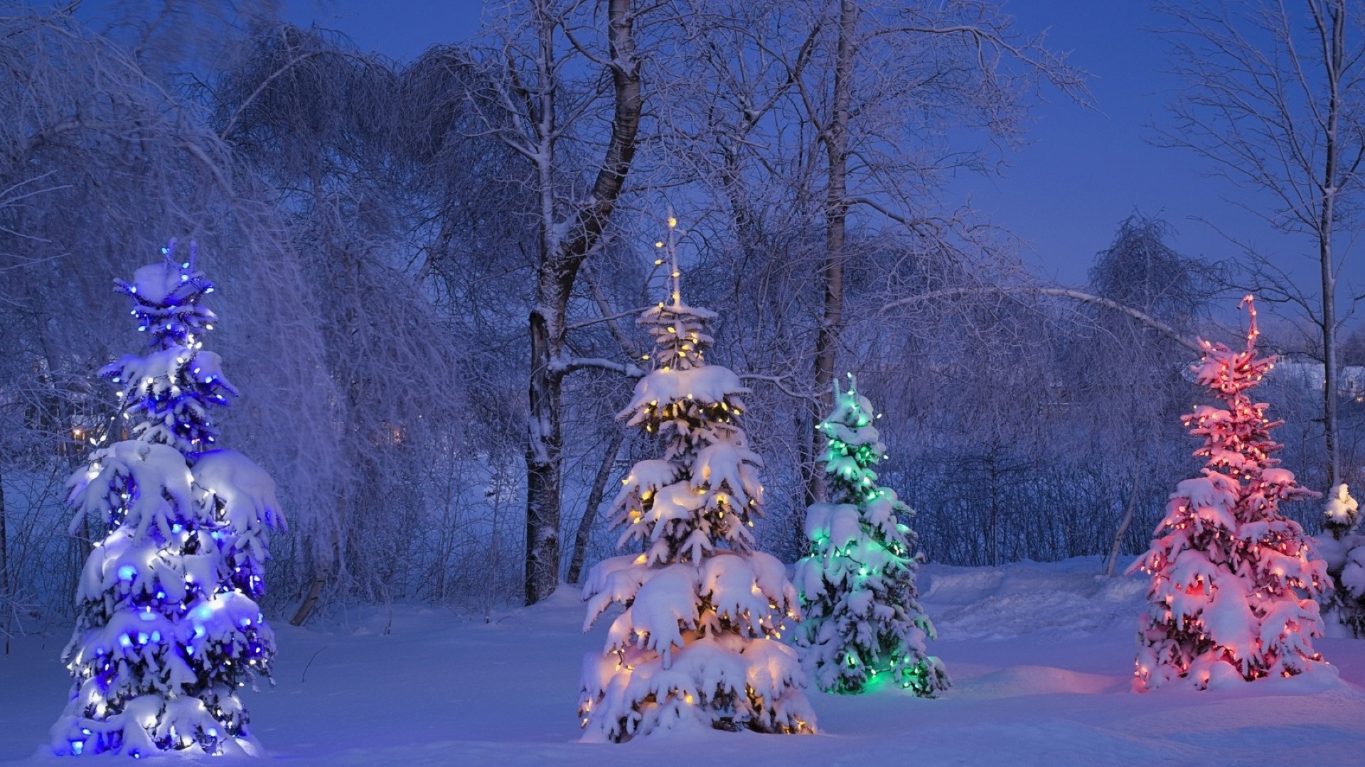 neujahr winter schnee baum kälte holz landschaft frost im freien herbst jahreszeit weihnachten natur