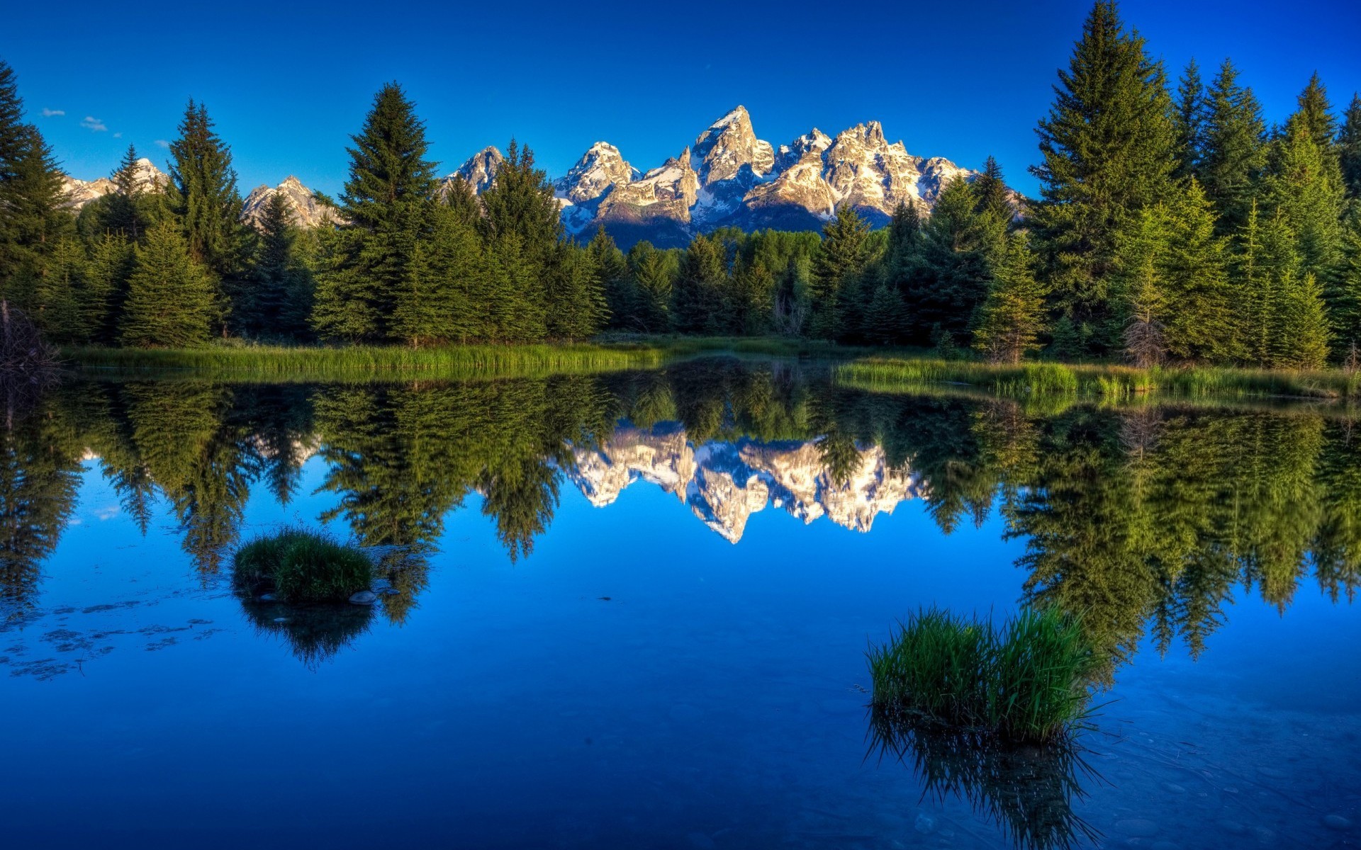 fiumi stagni e insenature stagni e insenature riflessione lago acqua natura all aperto albero paesaggio alba legno sangue freddo scenico cielo viaggi plesid