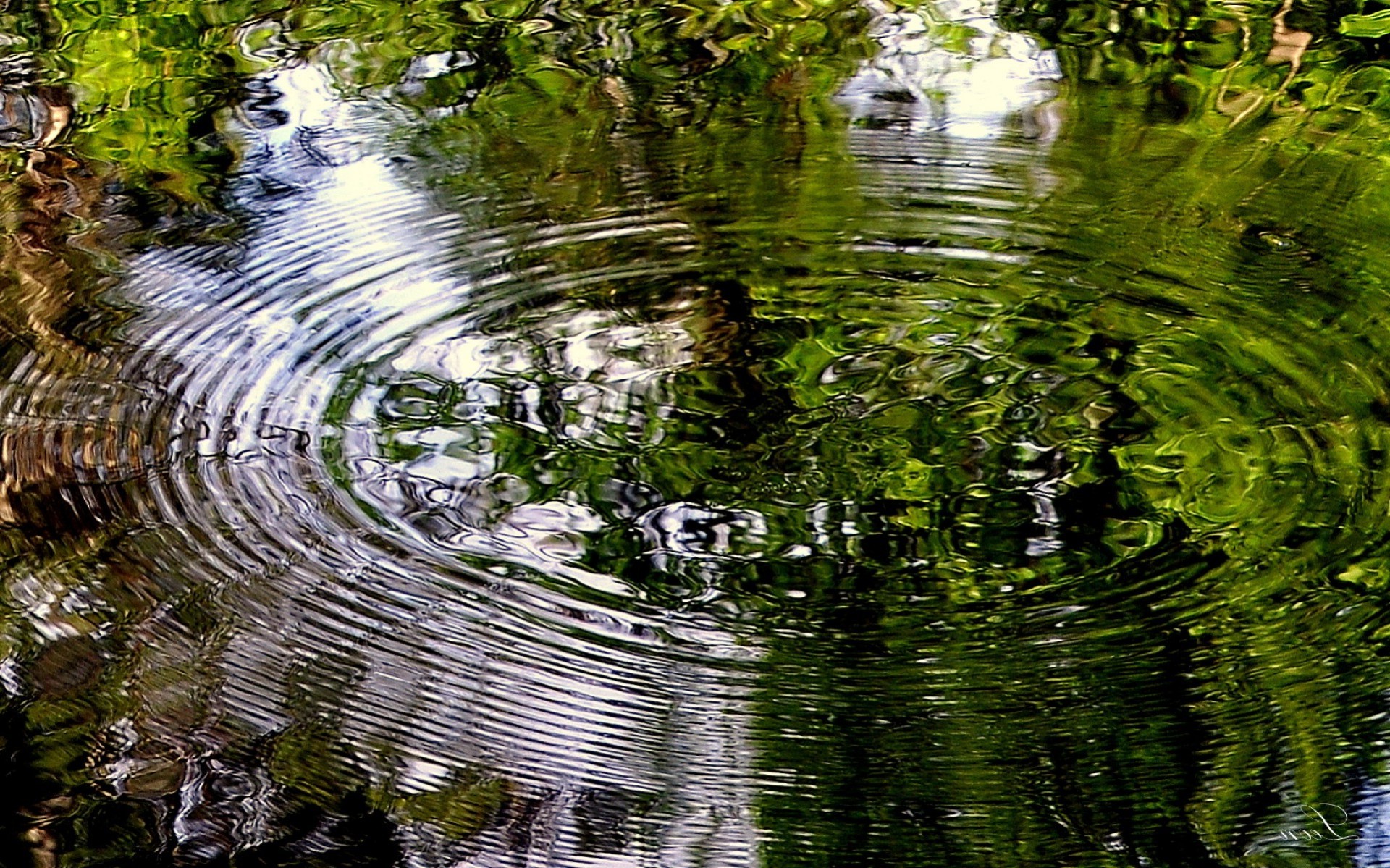 річки ставки і струмки ставків і струмків води природа відображення лист басейн літо річка на відкритому повітрі флора озеро пейзаж парк деревини дерево