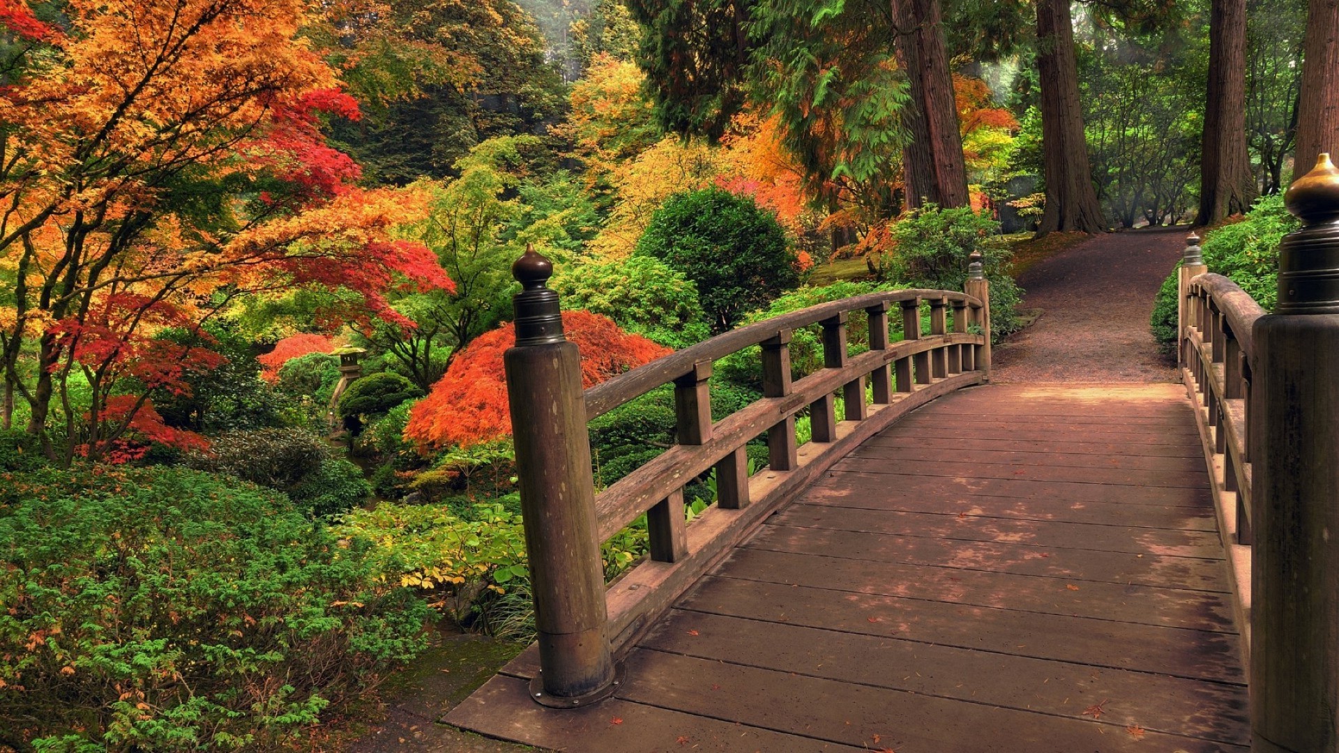 parchi di legno albero foglia parco giardino paesaggio all aperto autunno natura percorso guida scenic viaggio lussureggiante