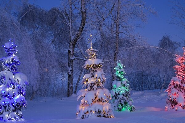 Ano Novo atmosférico árvores de Natal na neve