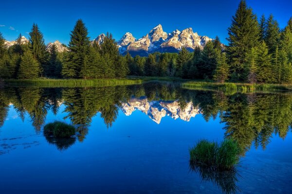 Forêt, lac, montagnes