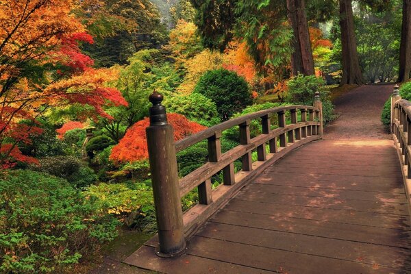 Cálido día de otoño en el parque