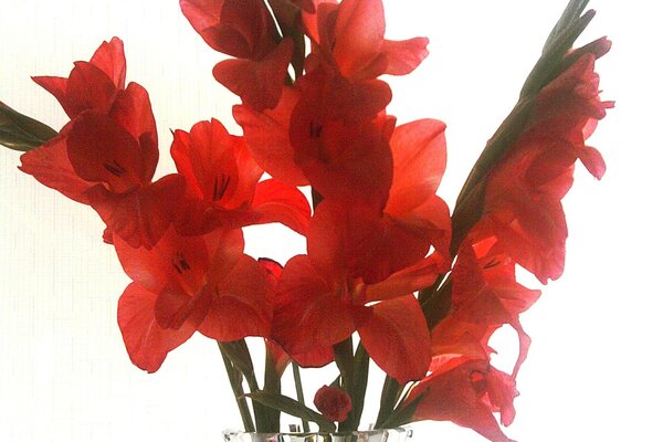 A bouquet of flowers in a beautiful vase