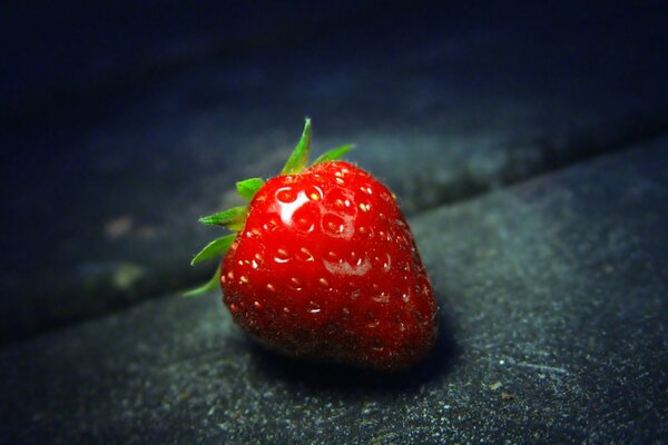 Baies rouges, fraises juteuses