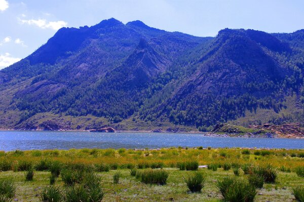 صور المناظر الطبيعية. نهر الجبل على خلفية الجبال العالية