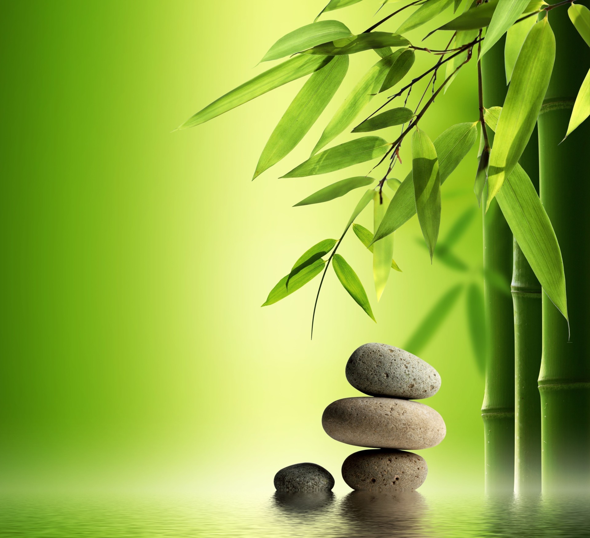 leaves zen balance harmony stability leaf bamboo meditation nature flora alternative therapy treatment peace minimalism simplicity growth cobblestone tree garden desktop