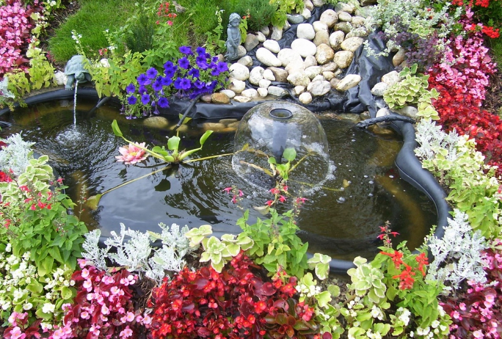 parcs fleur jardin flore nature botanique été feuille bluming parc pot eau à l extérieur pierre arbuste