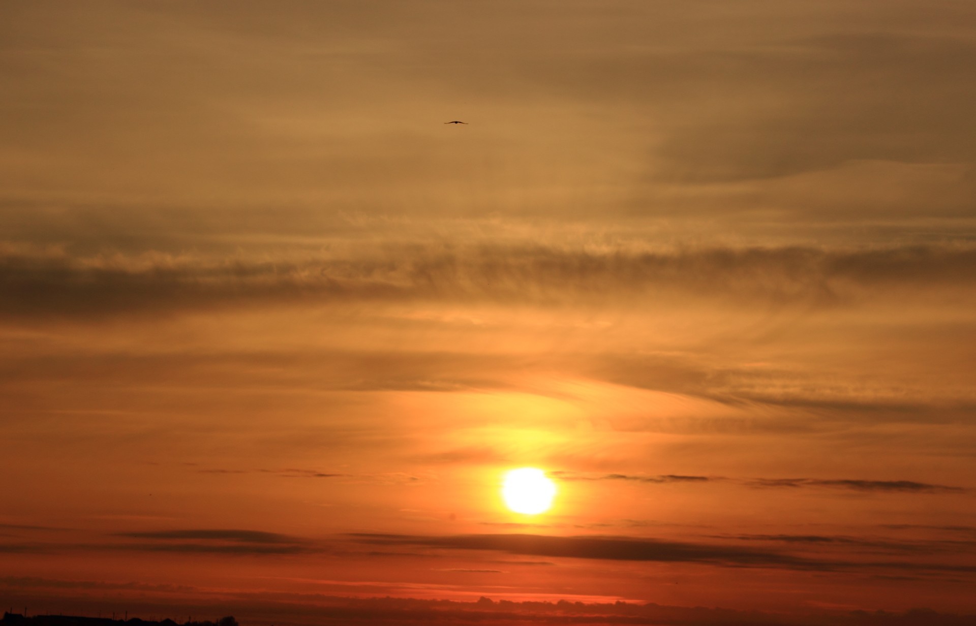 tramonto e alba tramonto sole alba cielo crepuscolo sera bel tempo natura all aperto luce acqua paesaggio estate drammatico luminoso cielo