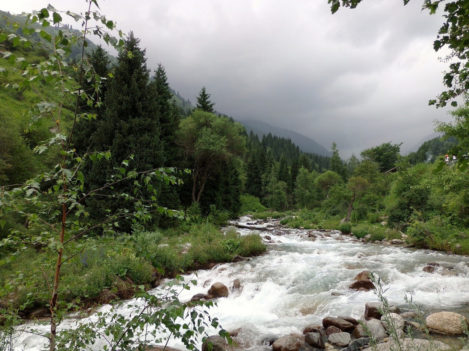 espacios nativos agua naturaleza paisaje río viajes cascada corriente al aire libre roca madera montaña verano árbol medio ambiente piedra escénico parque salvaje hoja