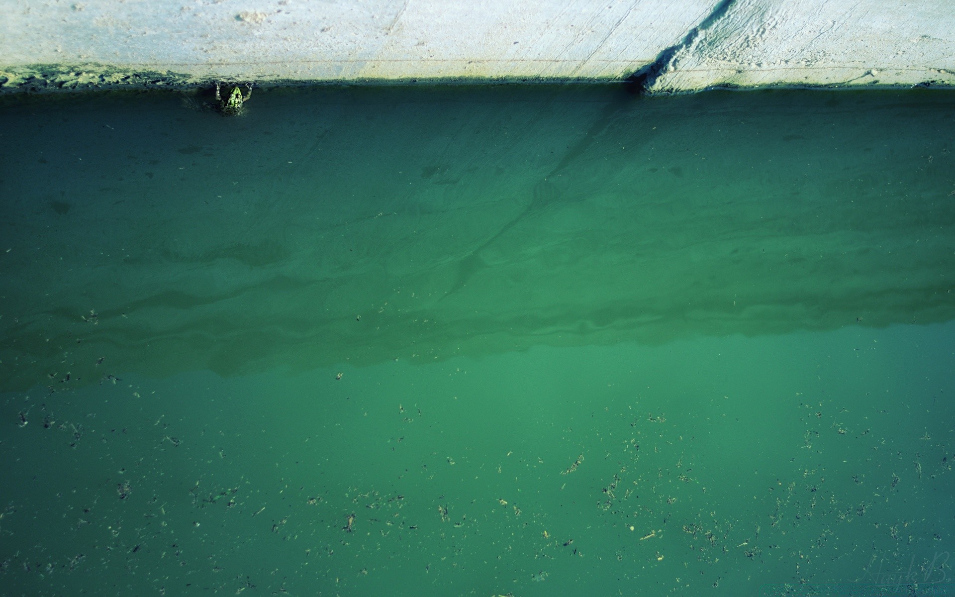 gady i żaby woda morze ocean krajobraz krajobraz natura podróże podwodny plaża turkus wyspa wakacje pulpit