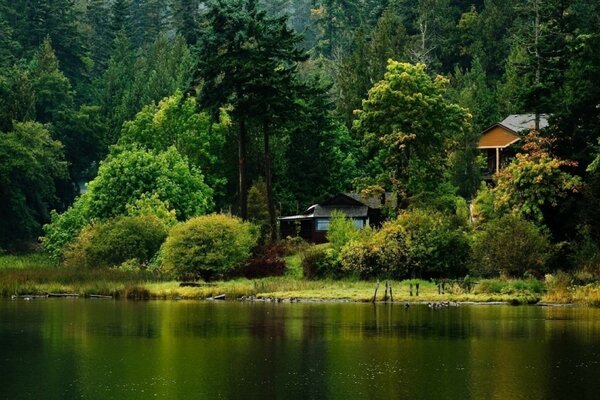 Un enorme lago en las profundidades de un denso bosque