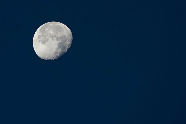 Cielo notturno con una grande luna