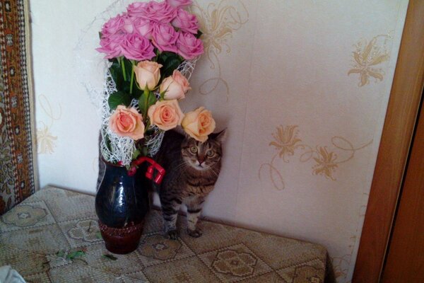 The cat behind the vase with a bouquet of roses