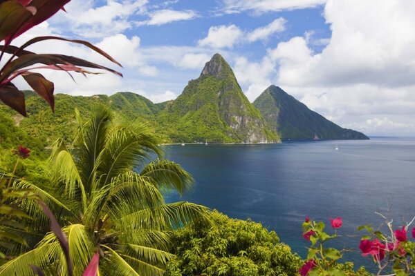 Île tropicale avec de hautes montagnes