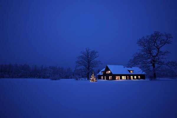 Pequena casa na borda coberta de neve da floresta