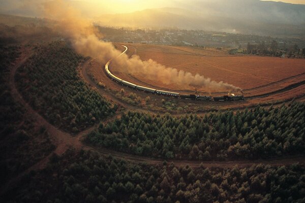 O trem viaja com um pedaço de floresta e prados