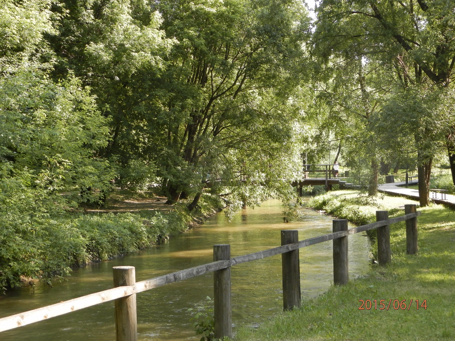 ricerca correlata: inverno natura albero di legno di estate parco erba foglia paesaggio all aperto giardino acqua guida flora rurale banco di viaggio