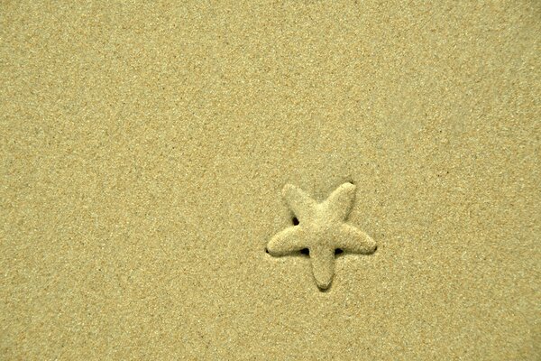 Foto en color de una estrella de mar en la arena