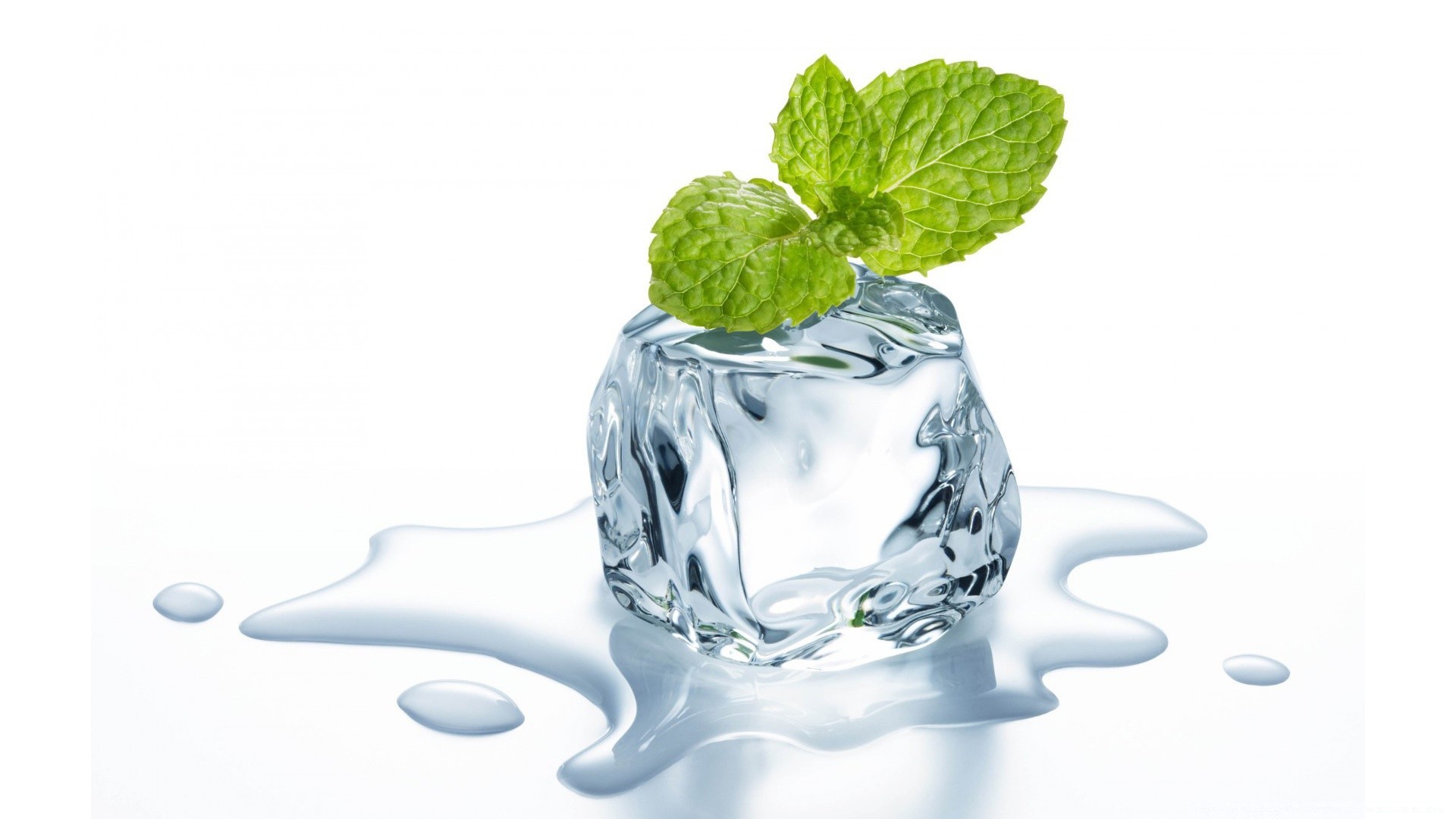 macro drink freshness liquid mint water glass drop refreshment desktop healthy clean food