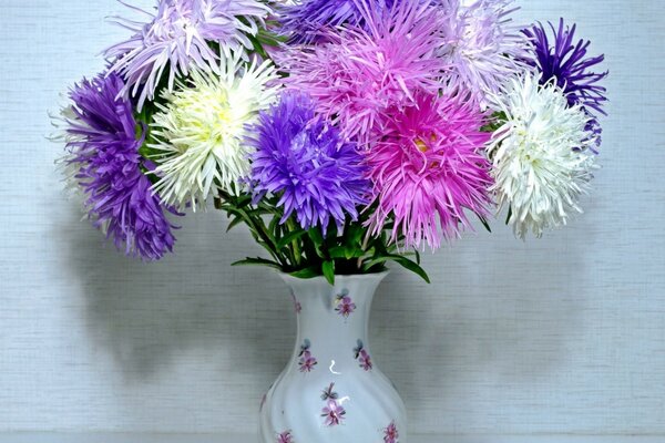 Asters en maceta o motivos de otoño