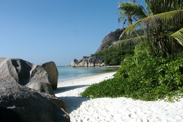 Côte tropicale de sable blanc