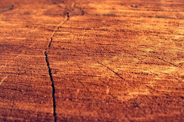 Texture de bureau en macro