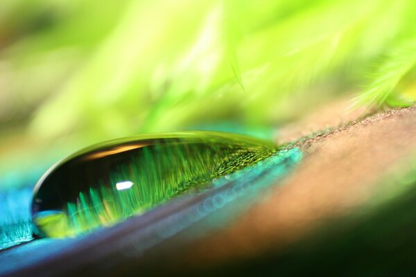 Fotografía macro de una gota de agua. Naturaleza