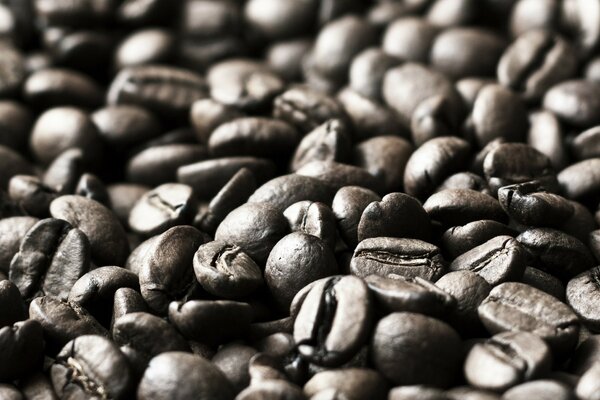 Macro shooting of coffee beans