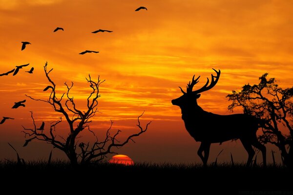 Sonnenuntergang Silhouette von Hirschen und Vögeln