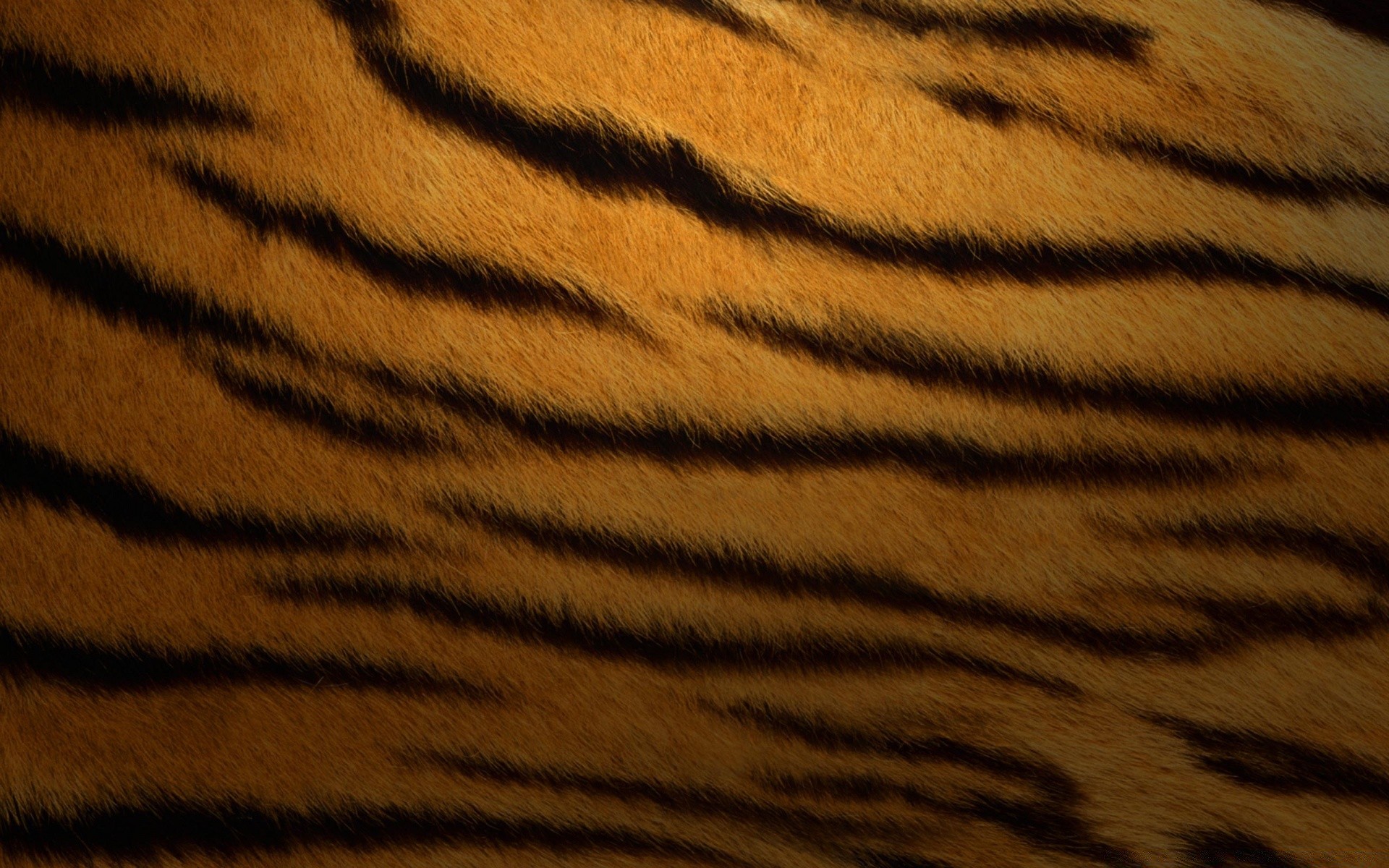 animals fur camouflage stripe tiger pattern safari cat texture mammal fabric cheetah desktop zoo design leopard abstract skin fall jungle