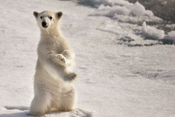 Blanc en hiver glacial