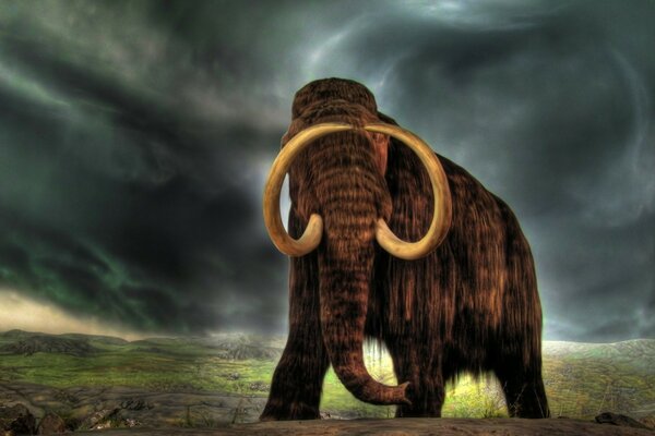 Extinct animal mammoth outdoors