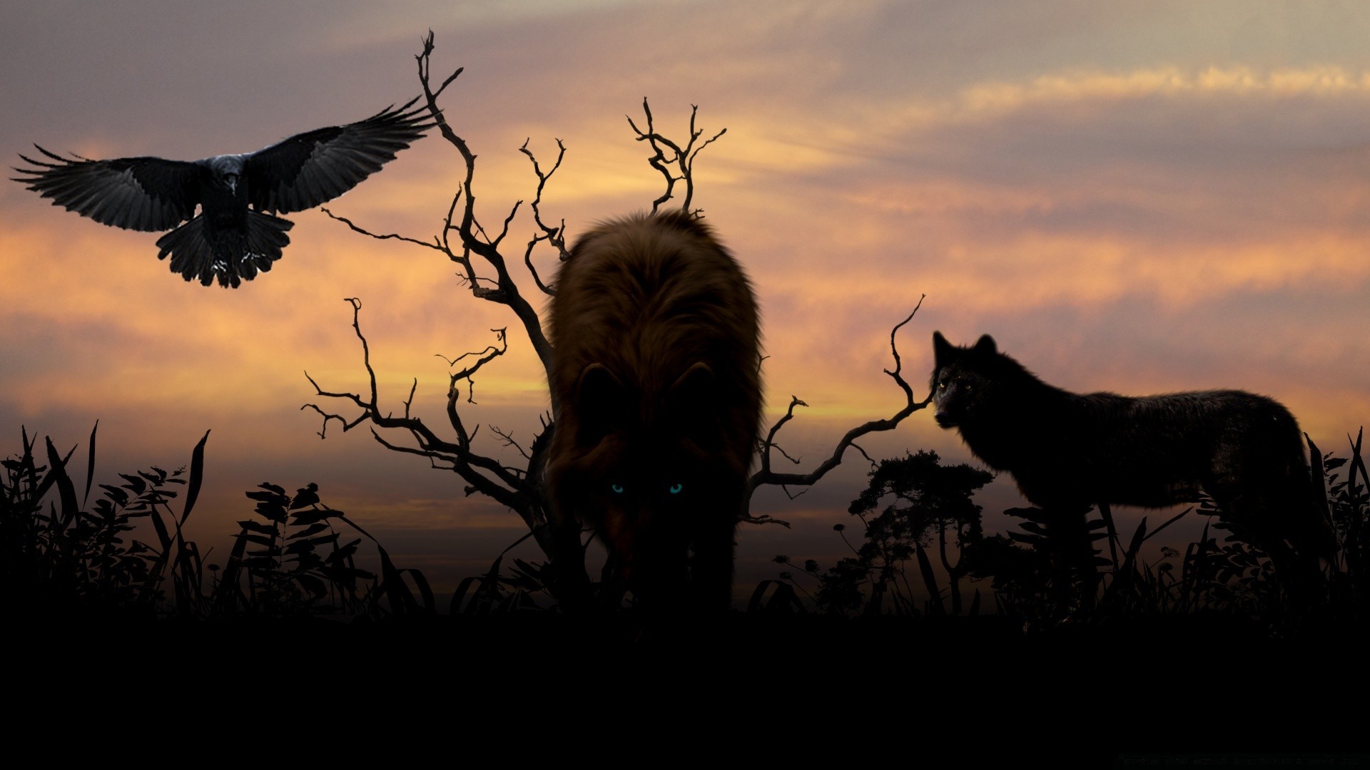 animais silhueta pôr do sol iluminado noite amanhecer crepúsculo pássaro céu vida selvagem árvore paisagem mamífero corvo sol